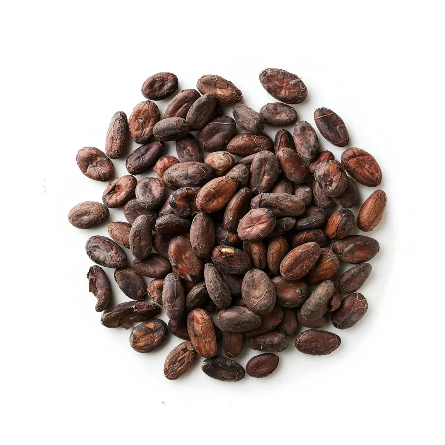 Biji Kakao Fermentasi & Cocoa Powder untuk wilayah Ambon
