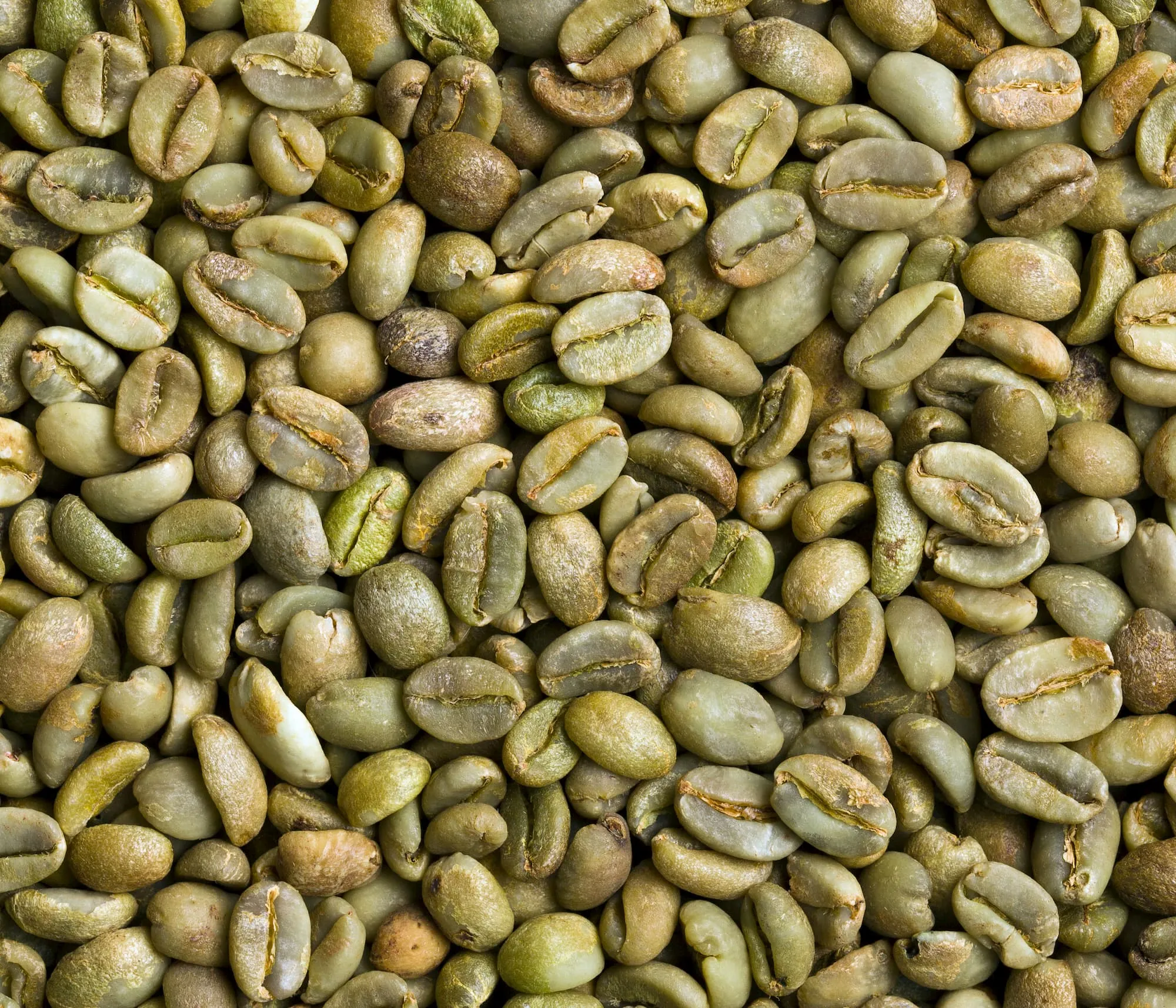 Kopi Biji Green Beans & Roasted Specialty untuk wilayah Ambon